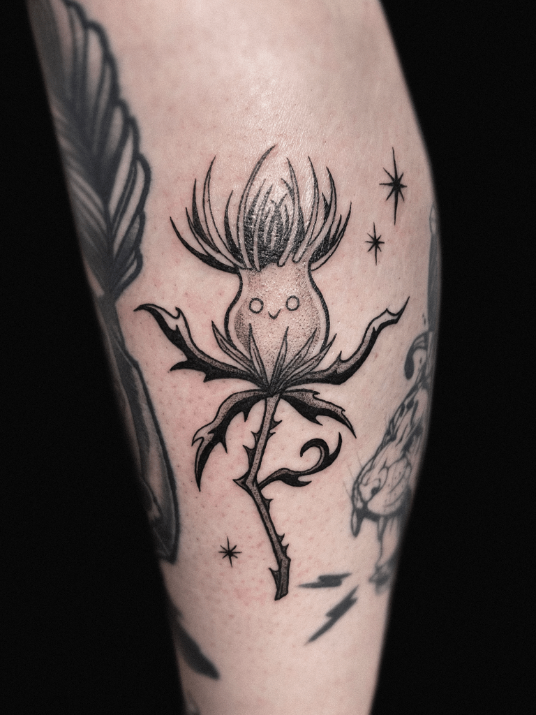 Collectitats thistle